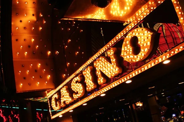 Buffalo King live dealer table interface on horas888 platform